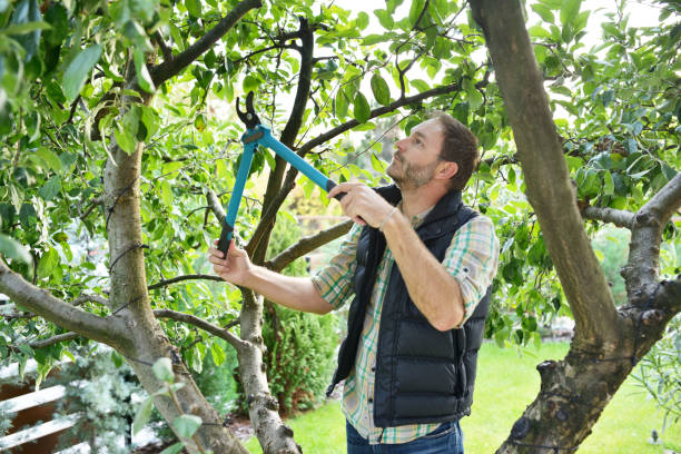 Best Lawn Watering Services  in Rainsville, AL